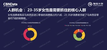 199it数据处理服务 赋能中国市场互联网数据洞察