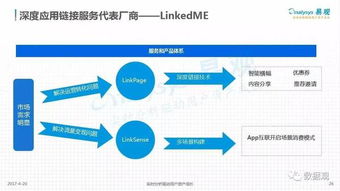 中国数据即服务（DaaS）市场专题分析 数据处理服务的机遇与挑战
